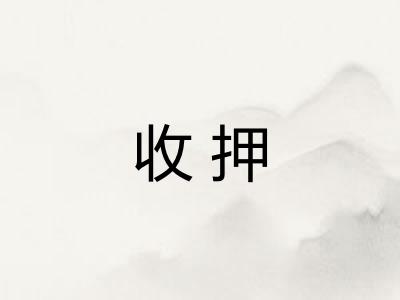 收押 收押