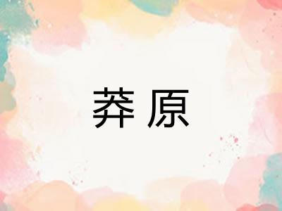 莽原 莽原