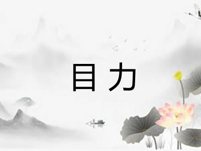 目力