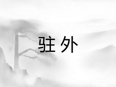 驻外 驻外