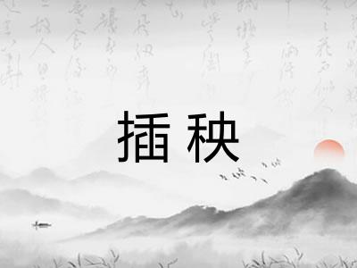 插秧 插秧