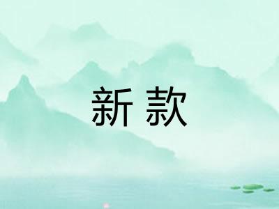 新款