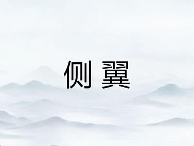 侧翼