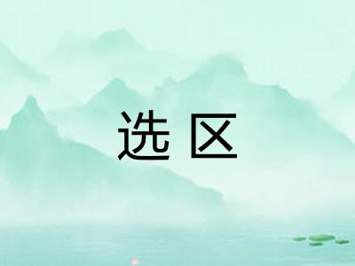 选区 选区