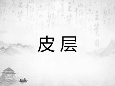 皮层