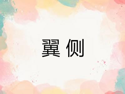翼侧 翼侧