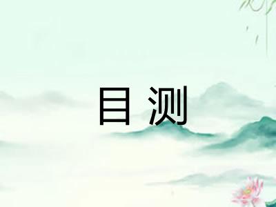 目测