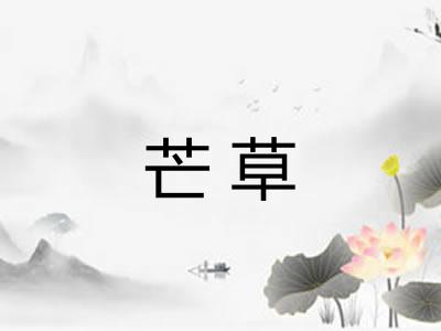 芒草
