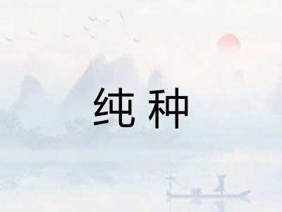 纯种 纯种