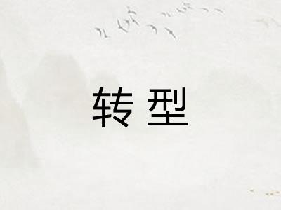转型 转型