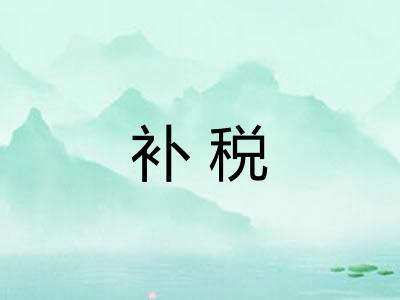 补税