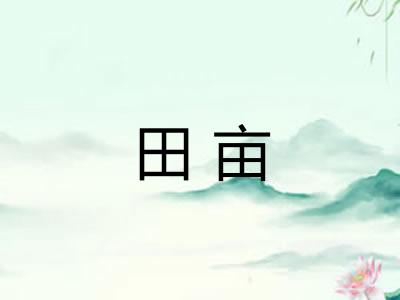 田亩