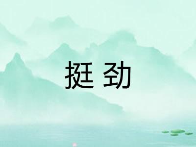 挺劲 挺劲
