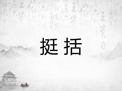 挺括
