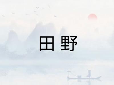 田野 田野