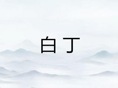 白丁