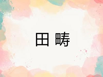 田畴