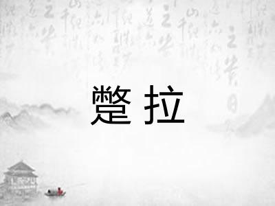 蹩拉