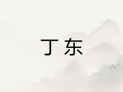 丁东 丁东