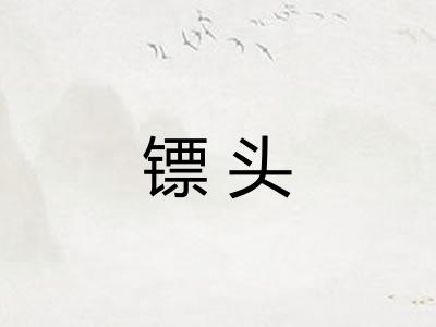 镖头