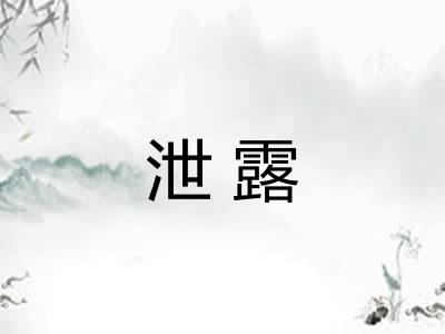 泄露 泄露