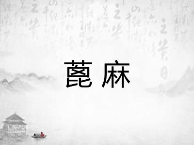 蓖麻 蓖麻