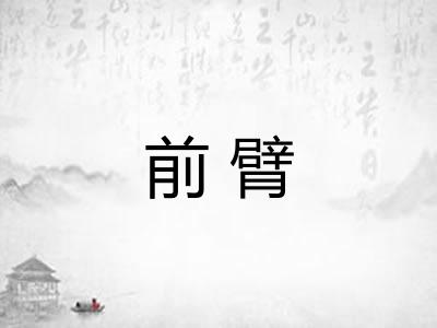前臂