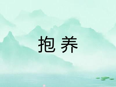抱养 抱养