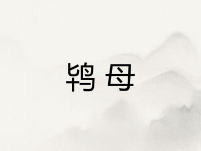鸨母 鸨母