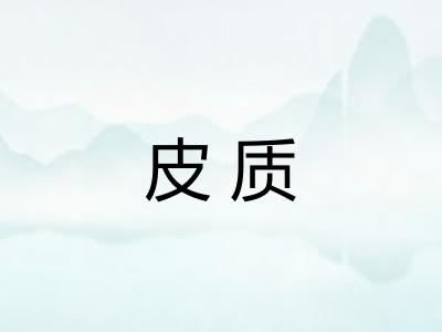 皮质