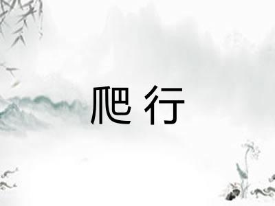 爬行 爬行