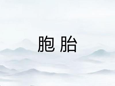 胞胎 胞胎