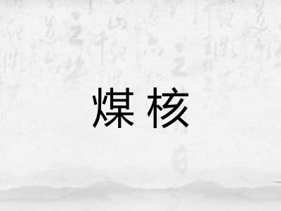 煤核