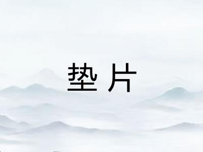 垫片