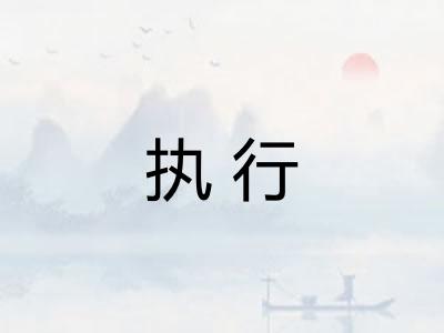 执行