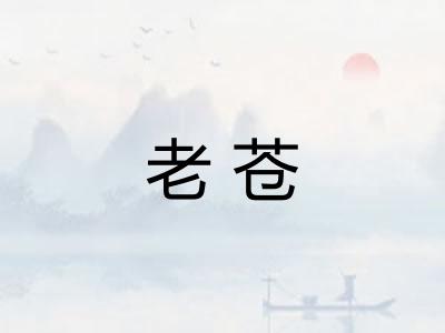 老苍