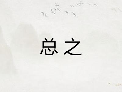 总之
