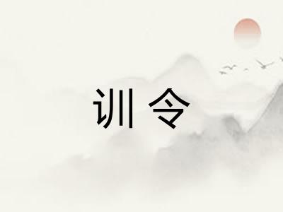 训令 训令