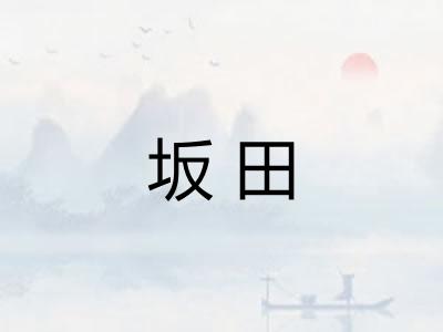 坂田 坂田
