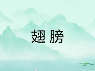 翅膀