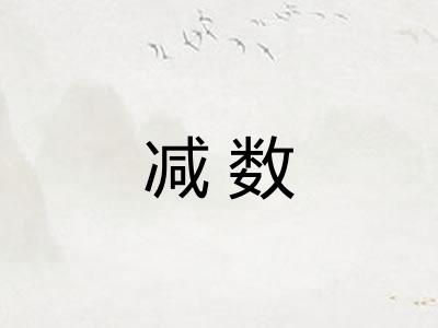 减数 减数