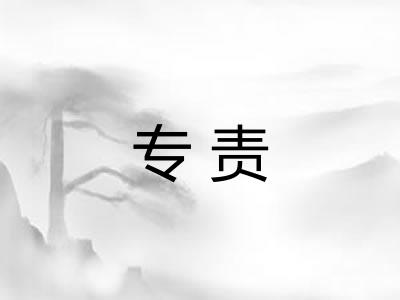 专责