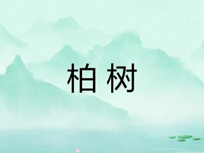 柏树