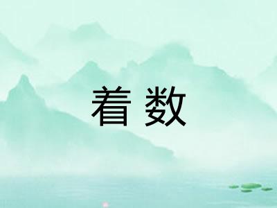着数