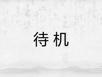 待机