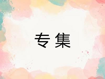 专集