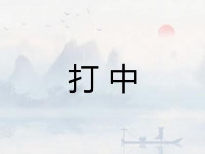 打中 打中