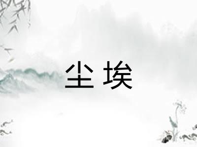 尘埃