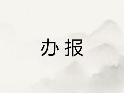 办报