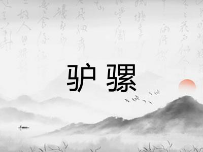 驴骡